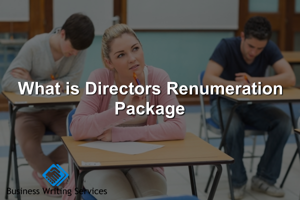 What-is-Directors-Renumeration-Package